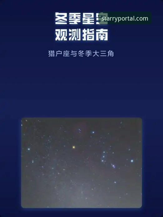 星空娱乐平台2025新版APP：从下载到精通完整指南
